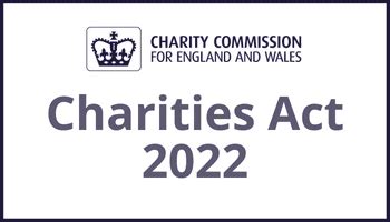 charity names uk|The Charities Act 2022 explained: Charity names .